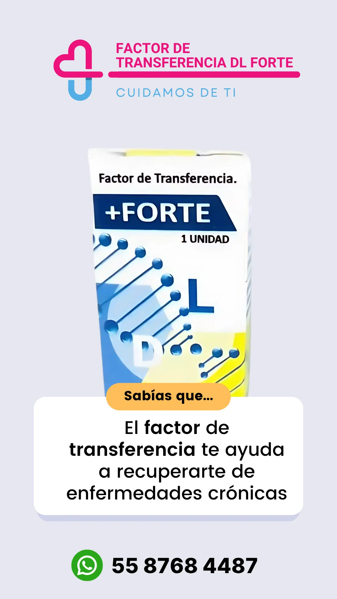 Diseño 7