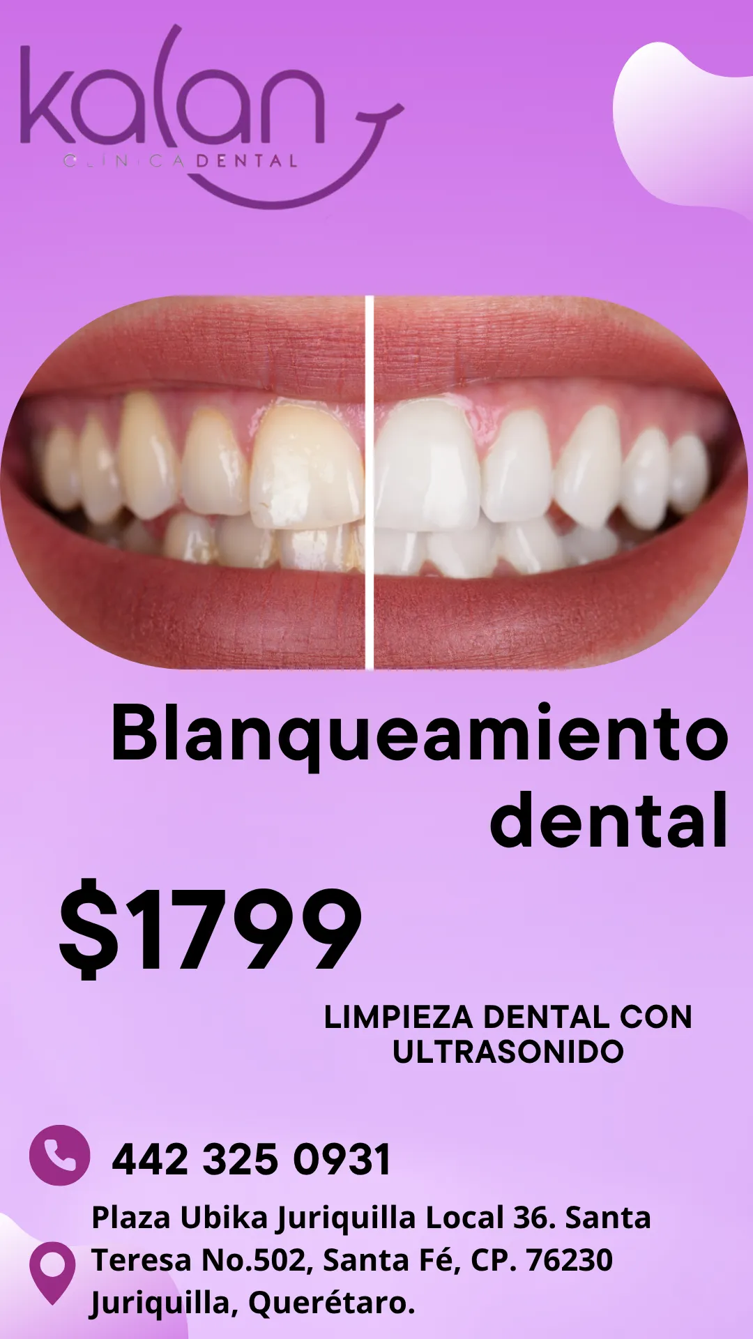 Diseño 69