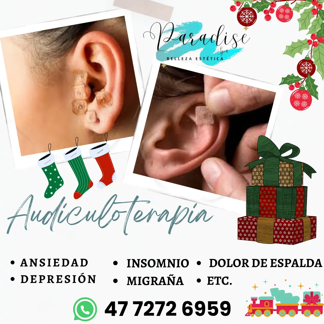Diseño 45
