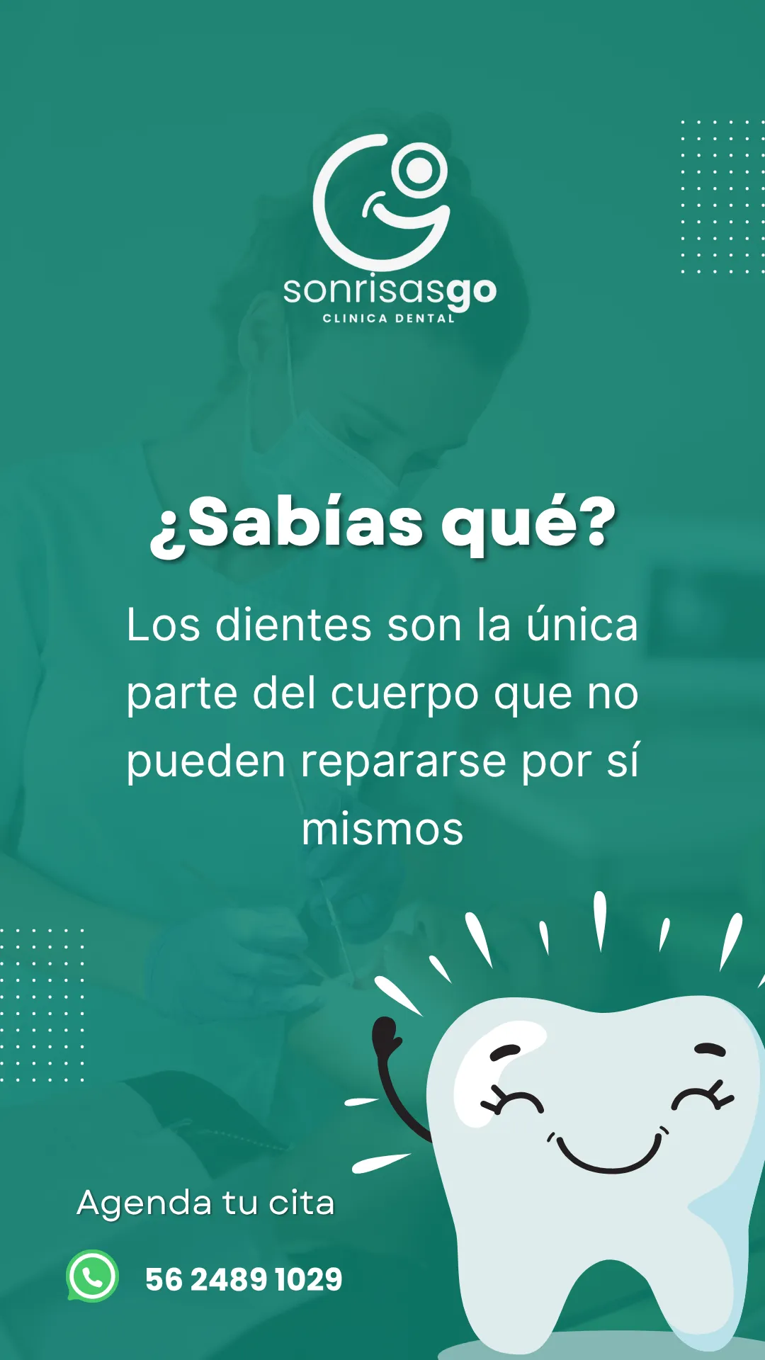 Diseño 46