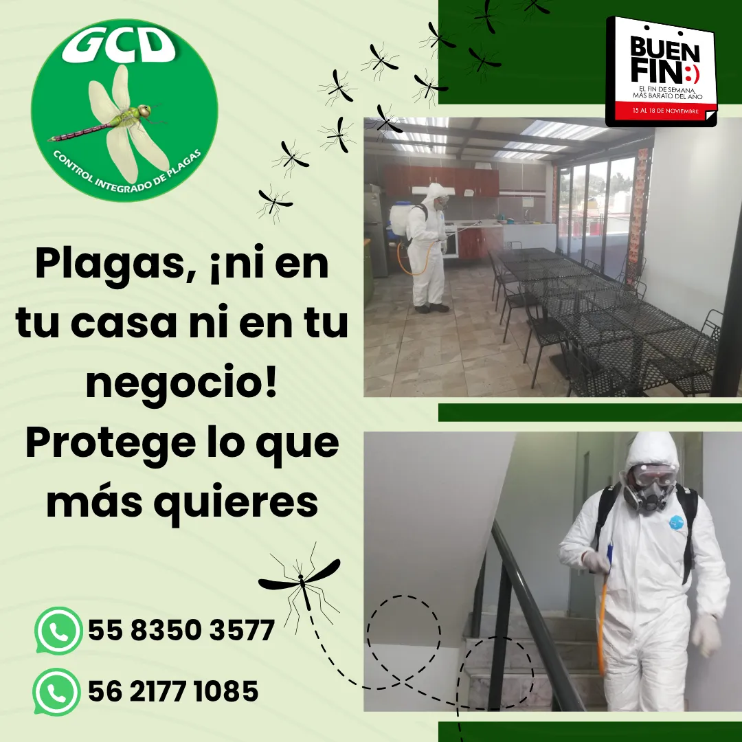 Diseño 143