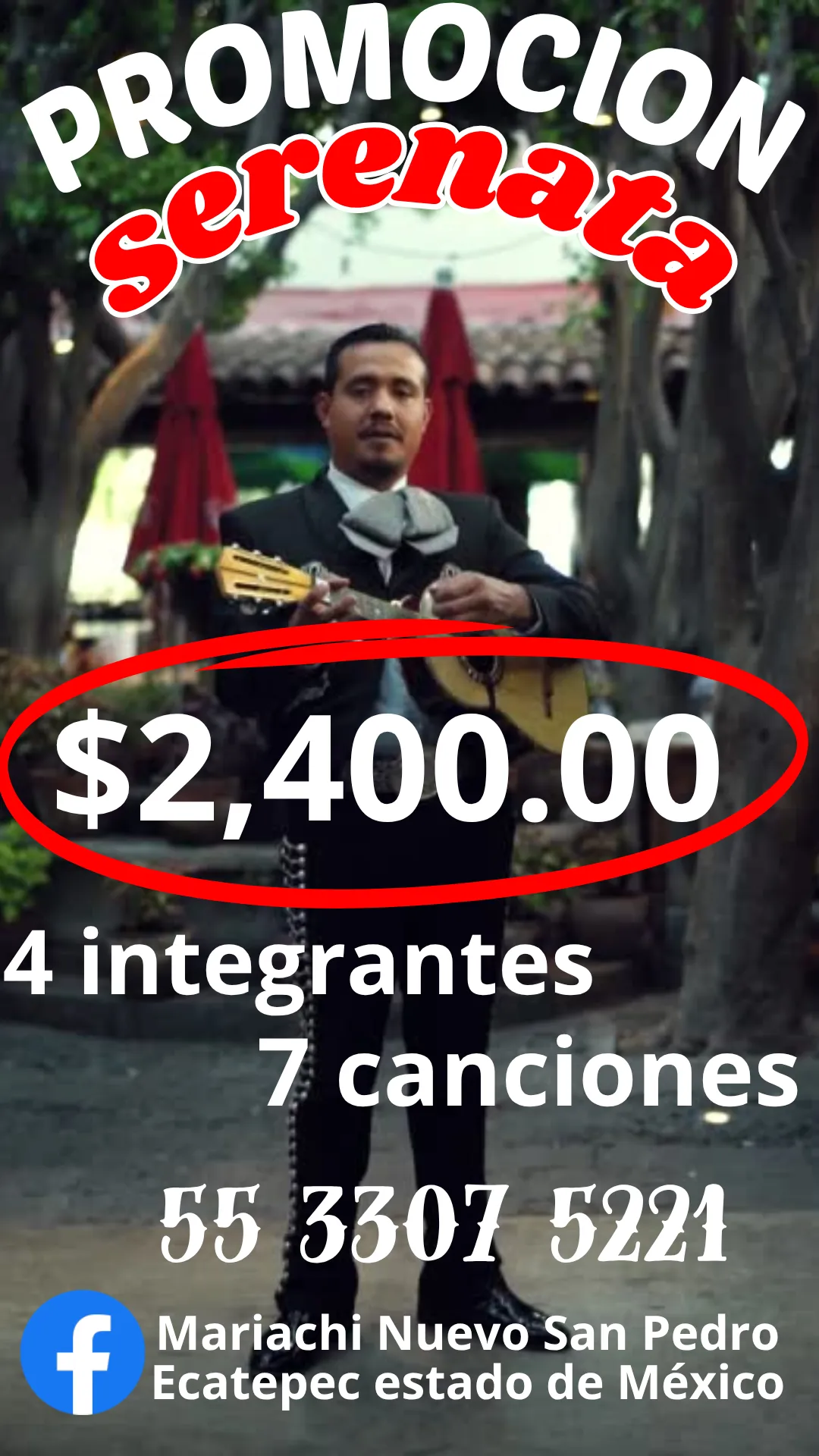 Diseño 6