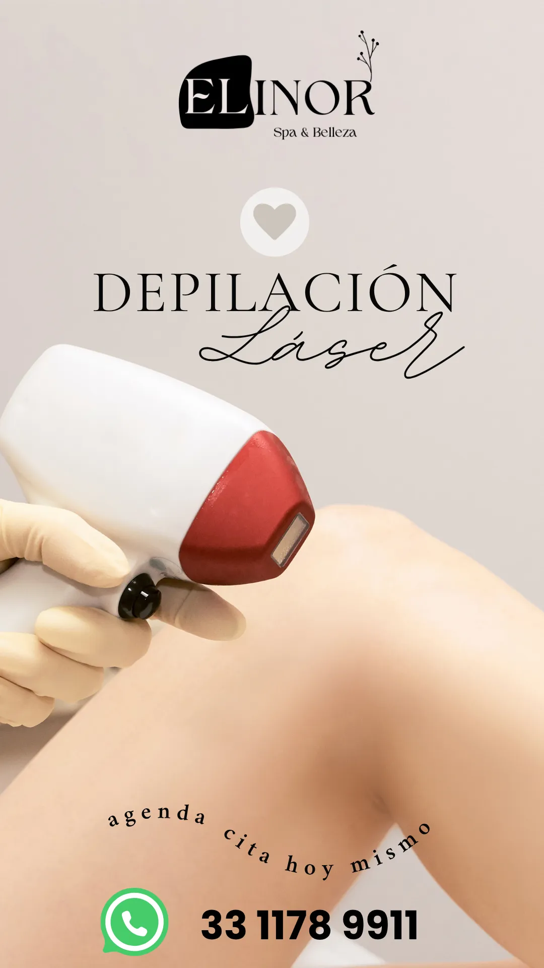 Diseño 91