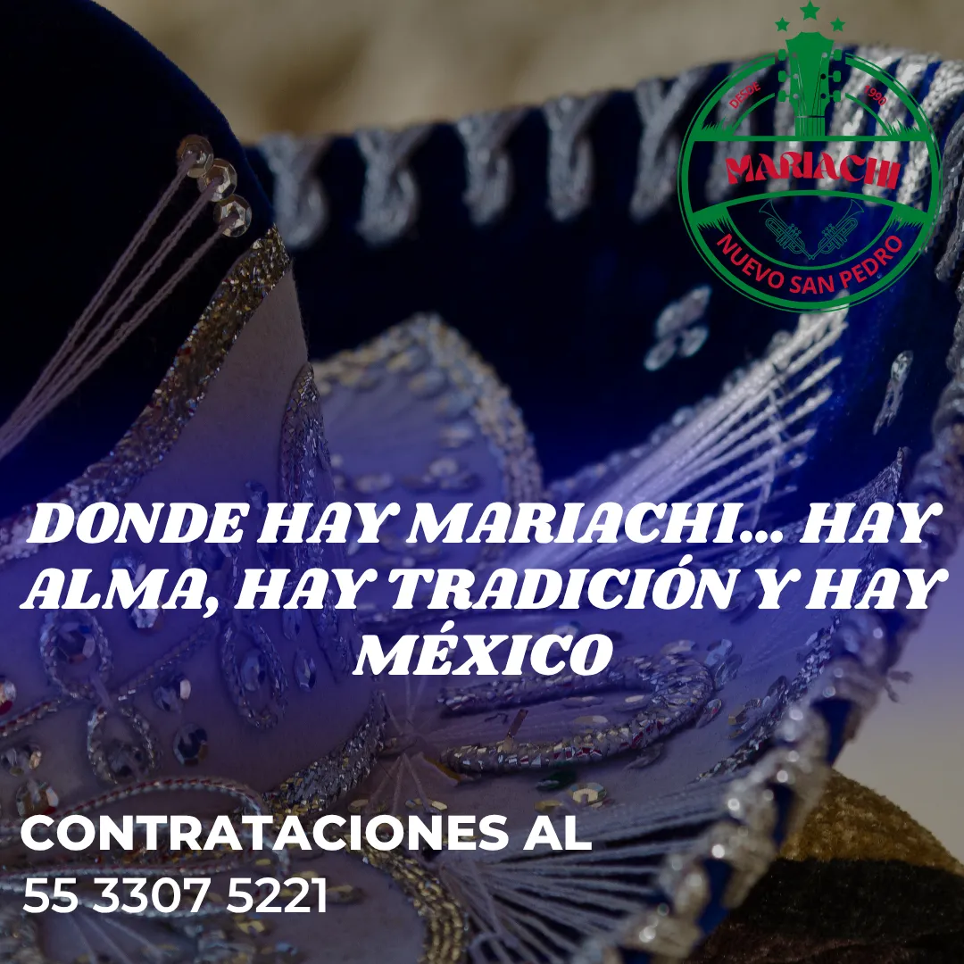 Diseño 81