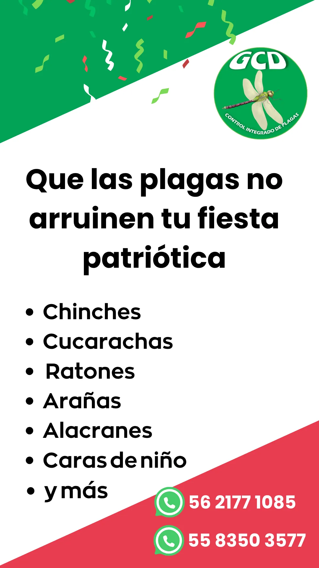 Diseño 73