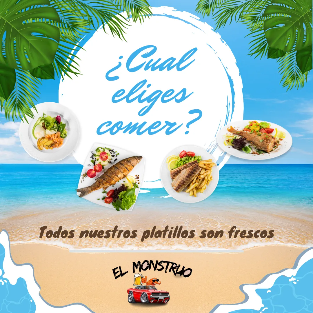 Diseño 13