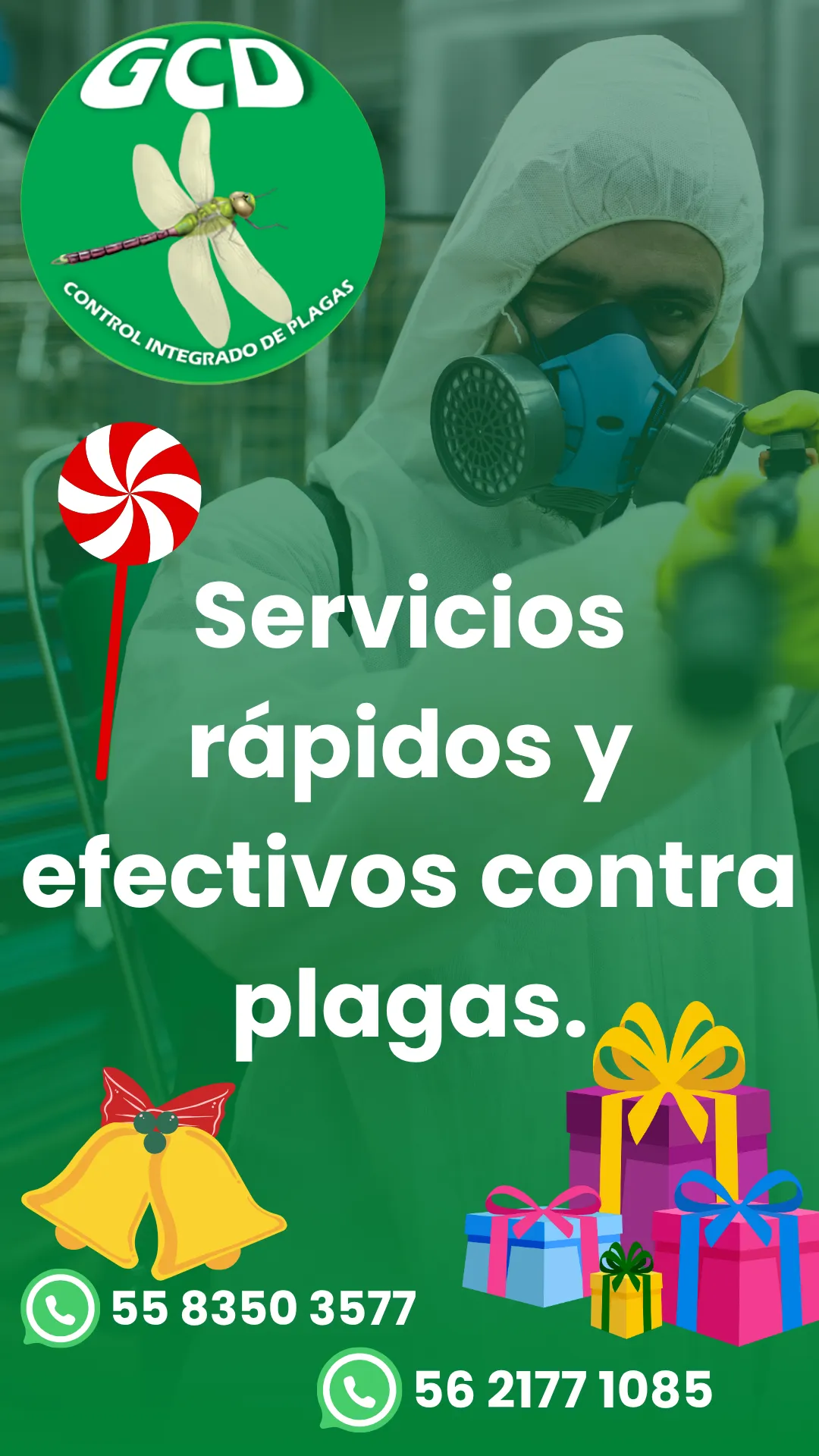 Diseño 4