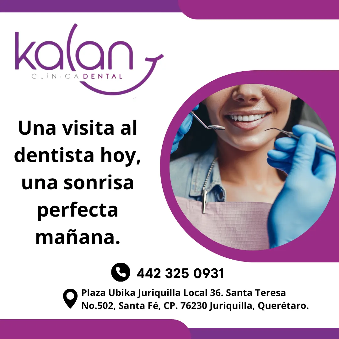Diseño 103