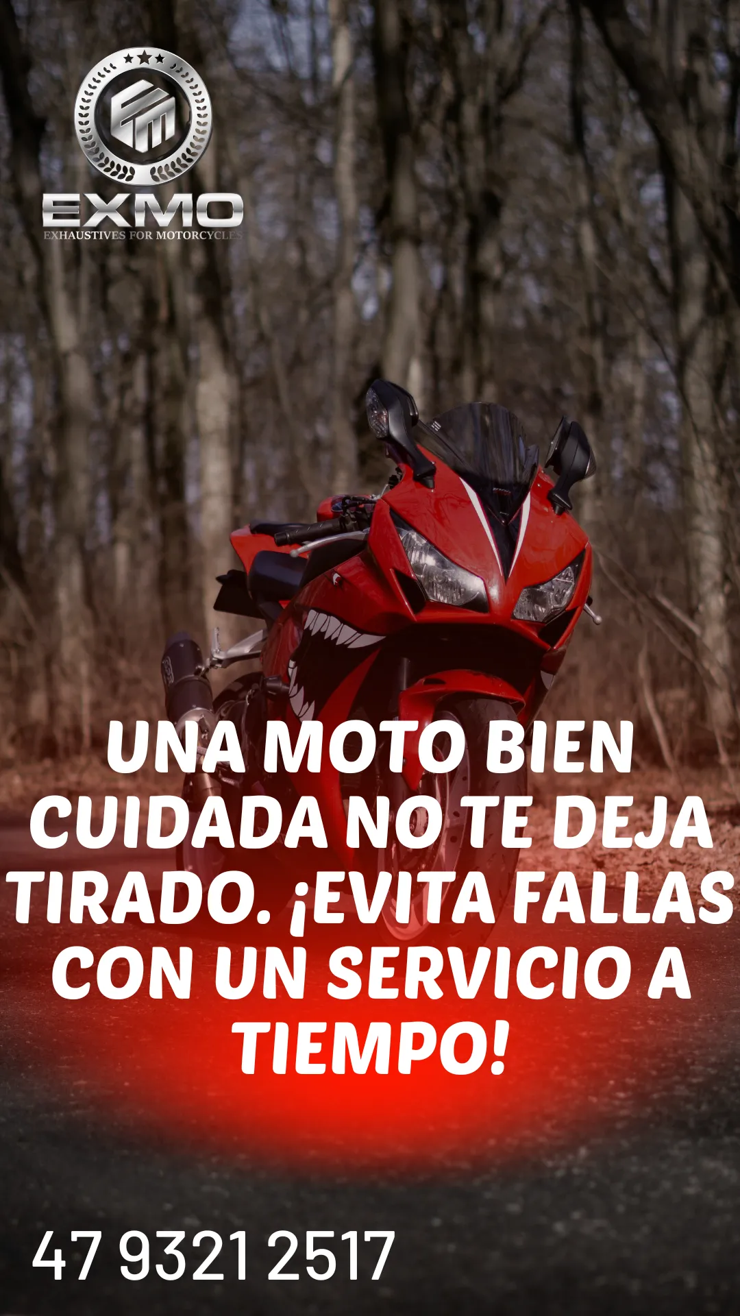 Diseño 18