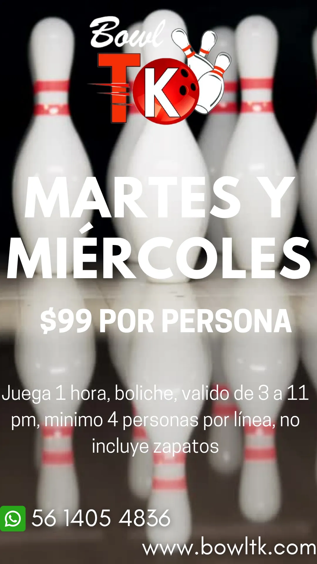 Diseño 53