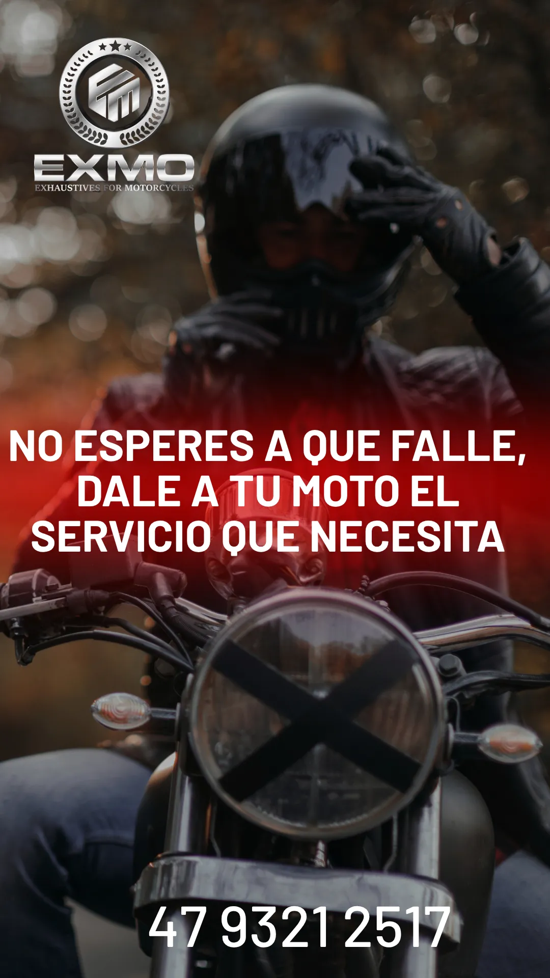 Diseño 10