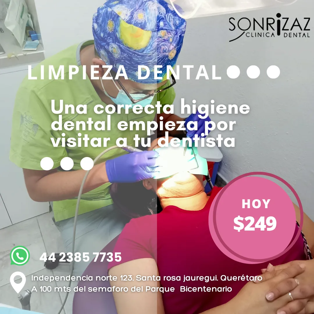 Diseño 26