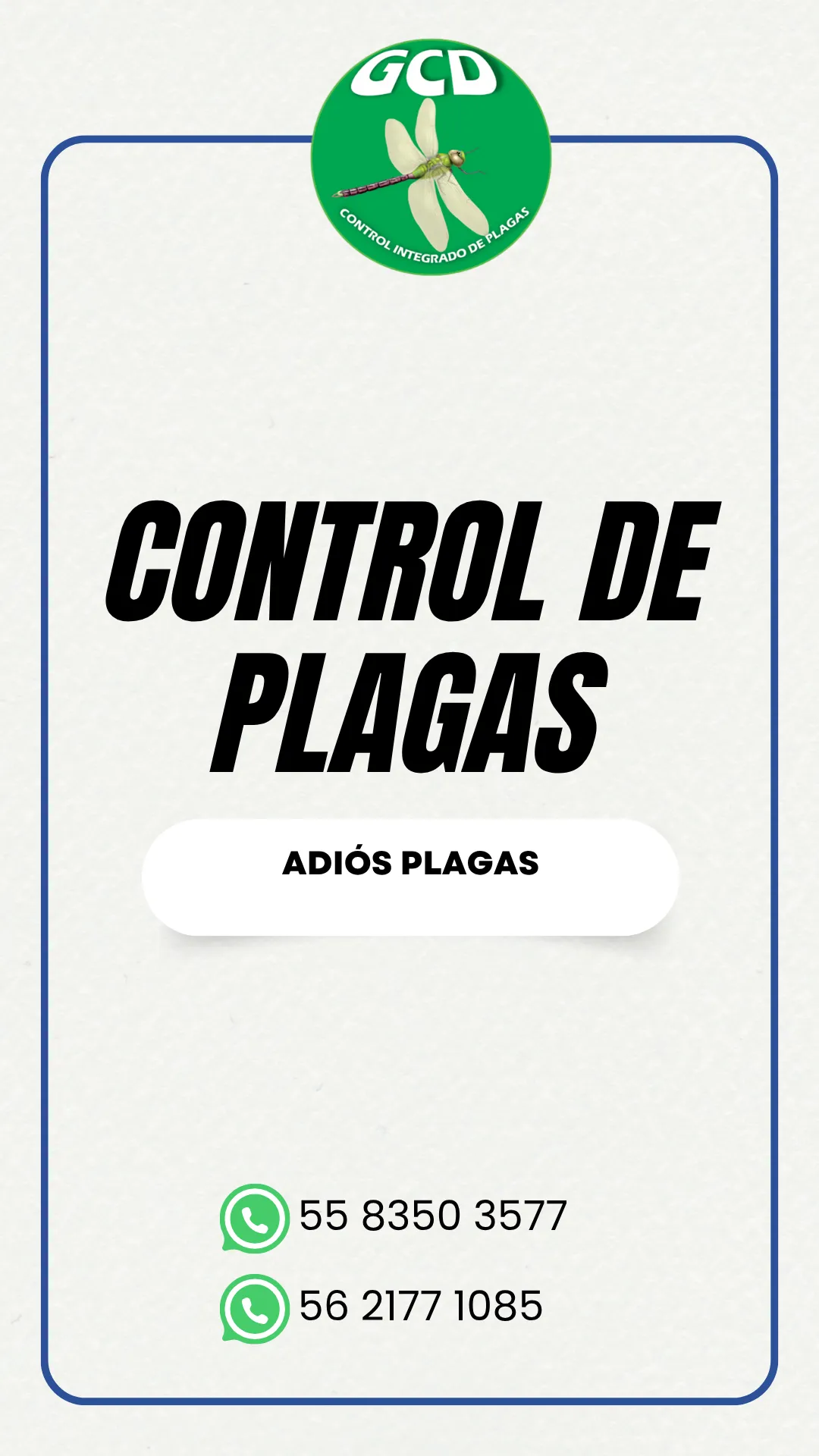 Diseño 17