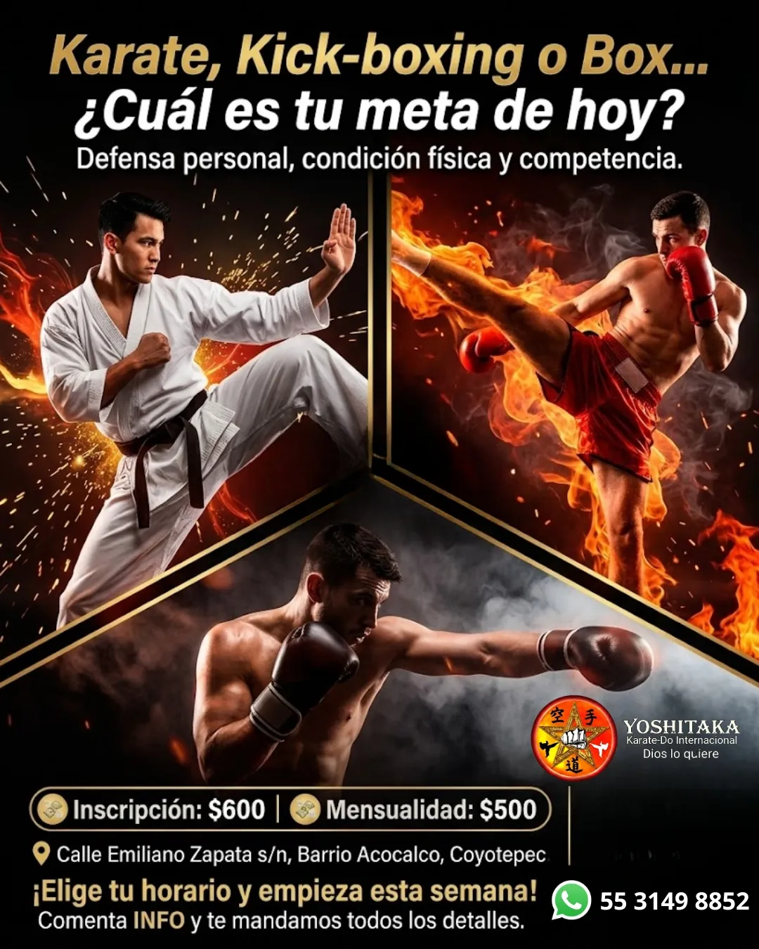 Diseño 5