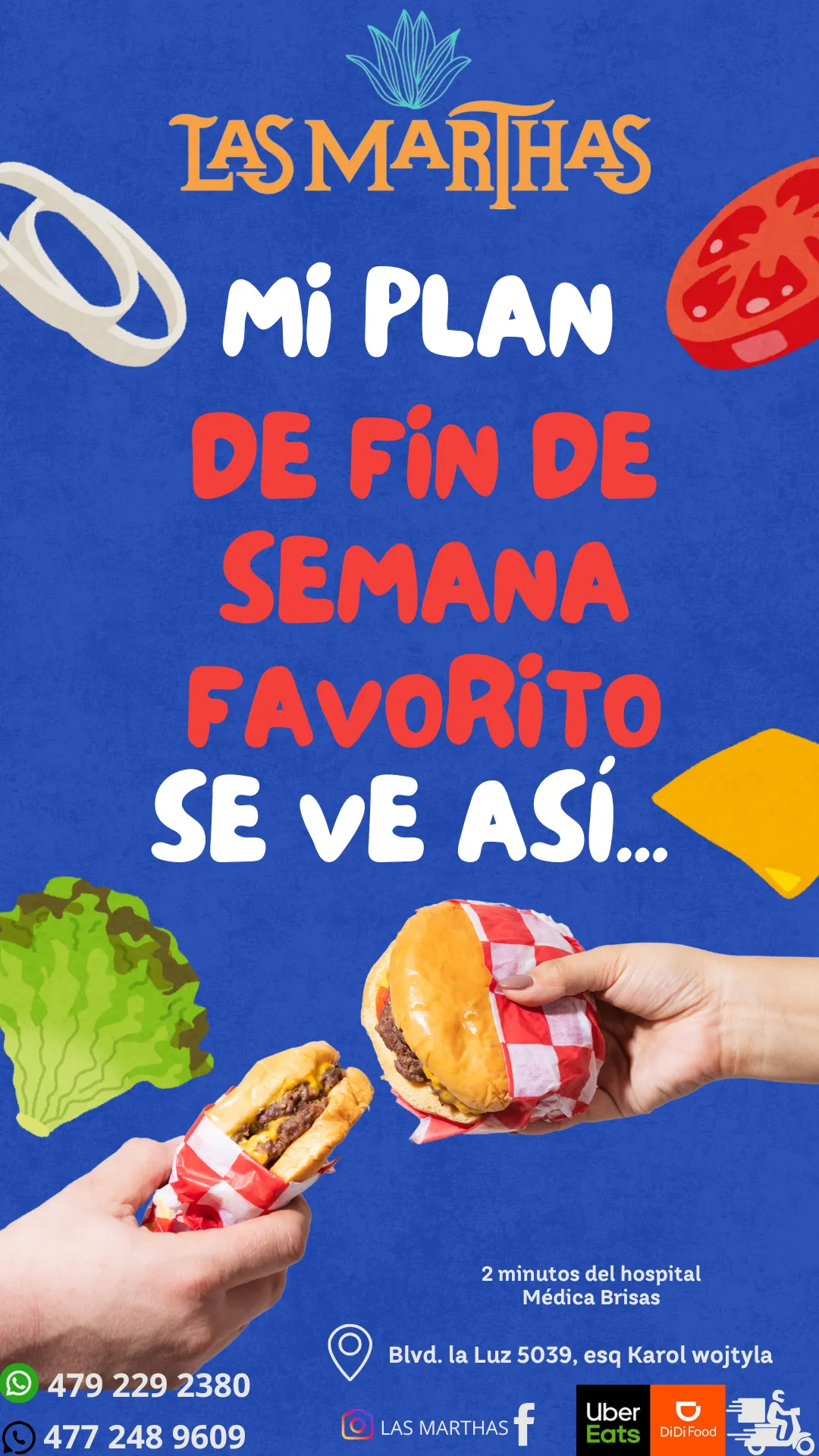 Diseño 31