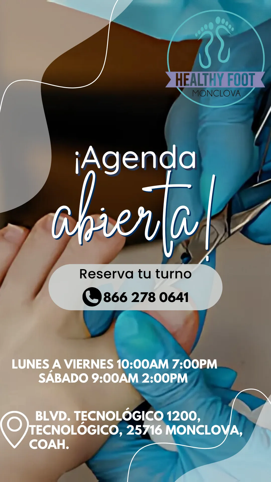Diseño 79