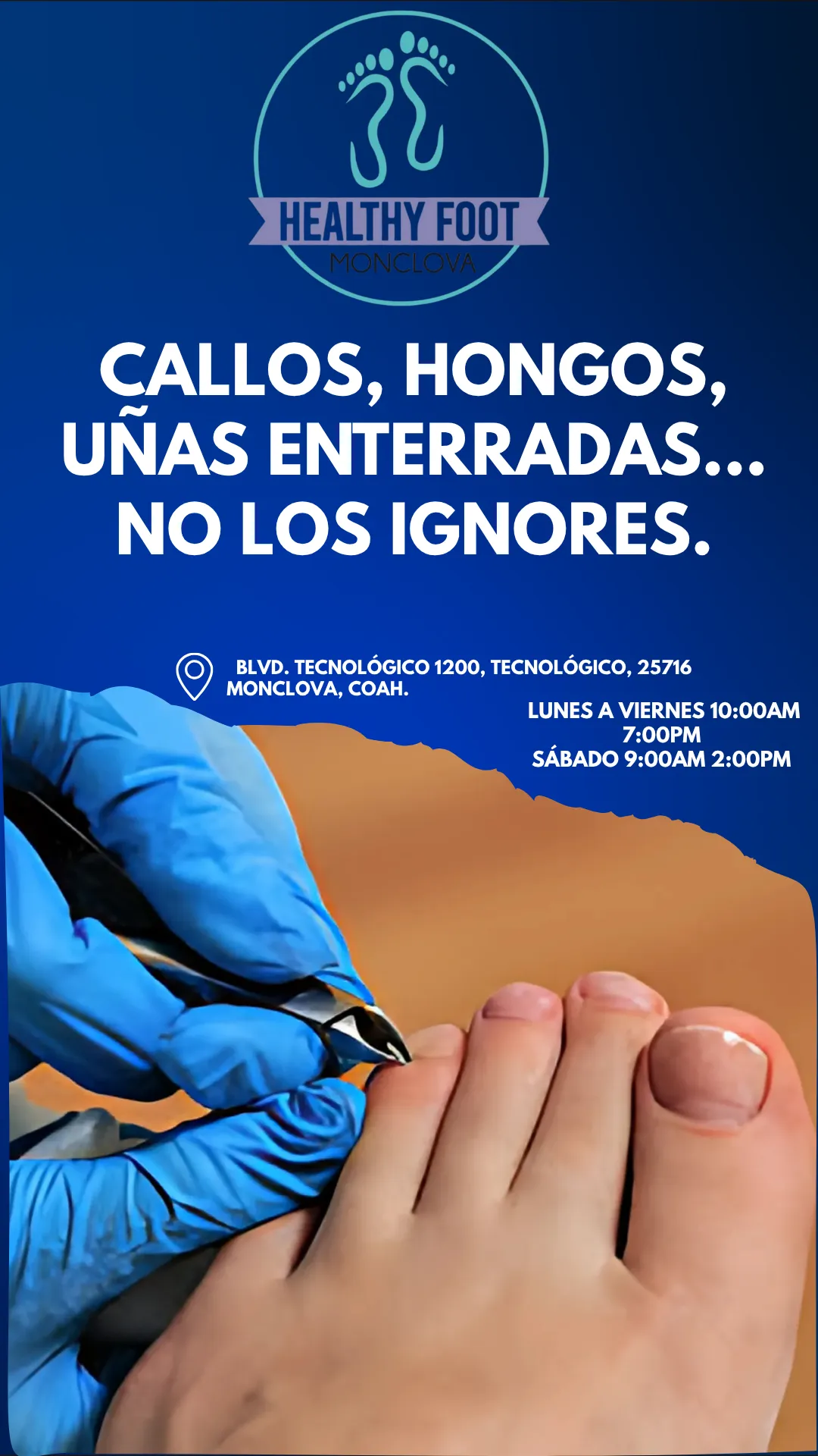 Diseño 129