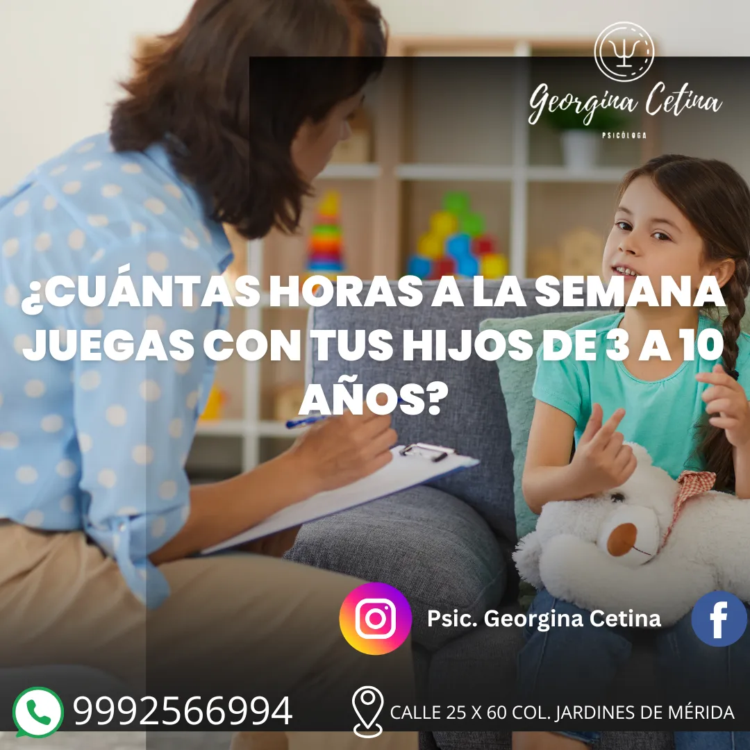 Diseño 53