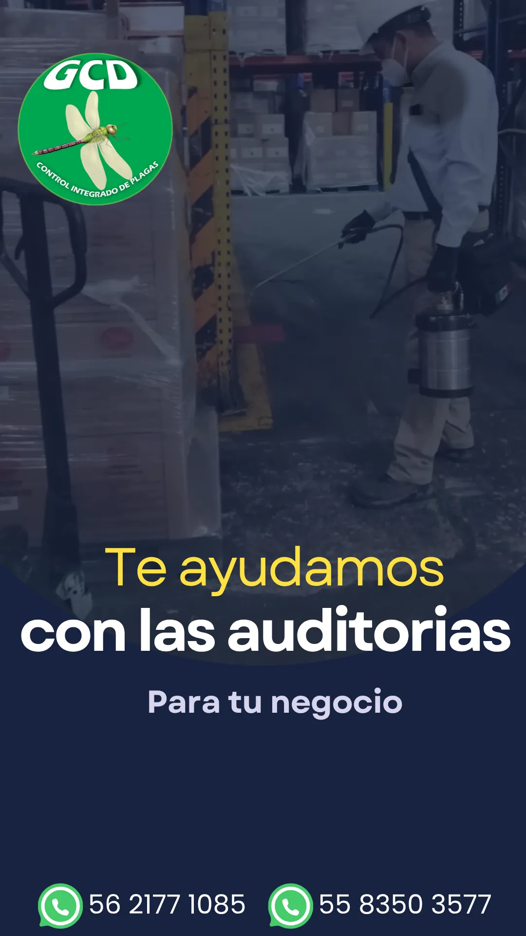 Diseño 21