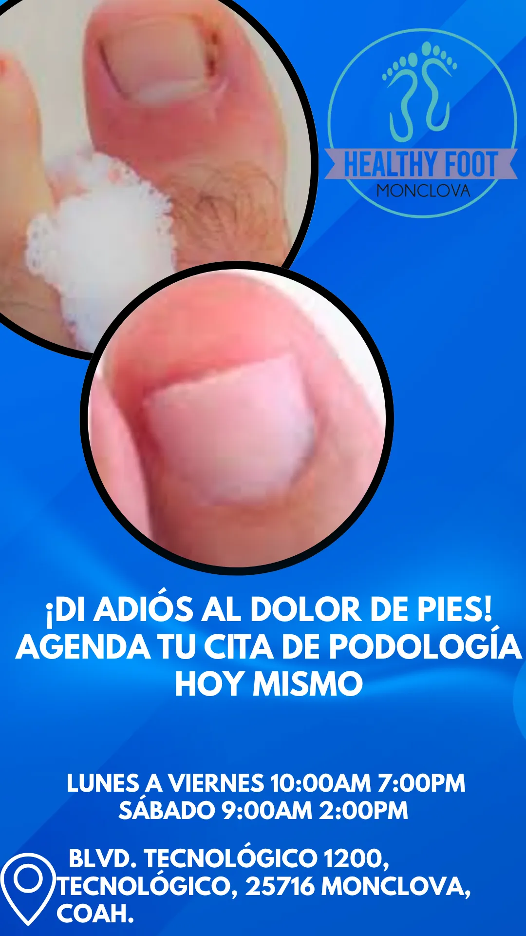 Diseño 110