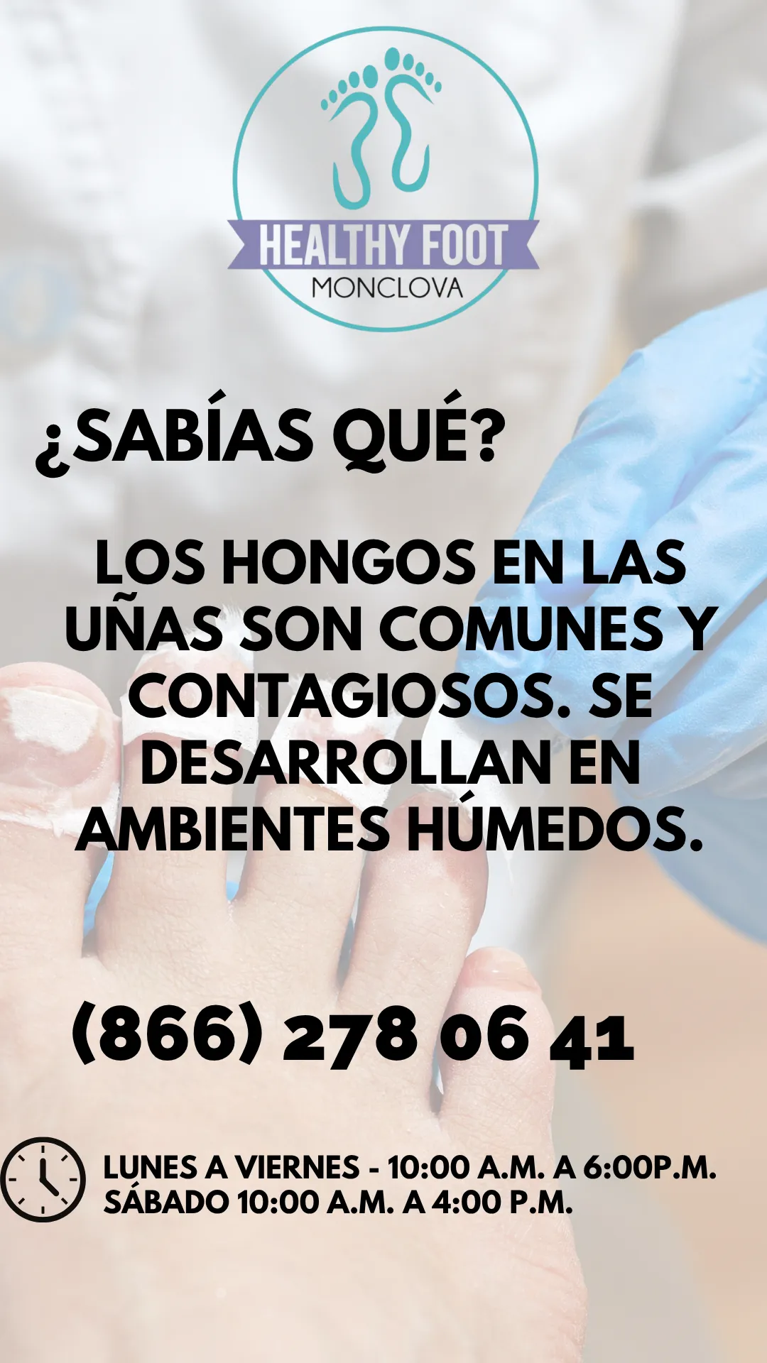 Diseño 11