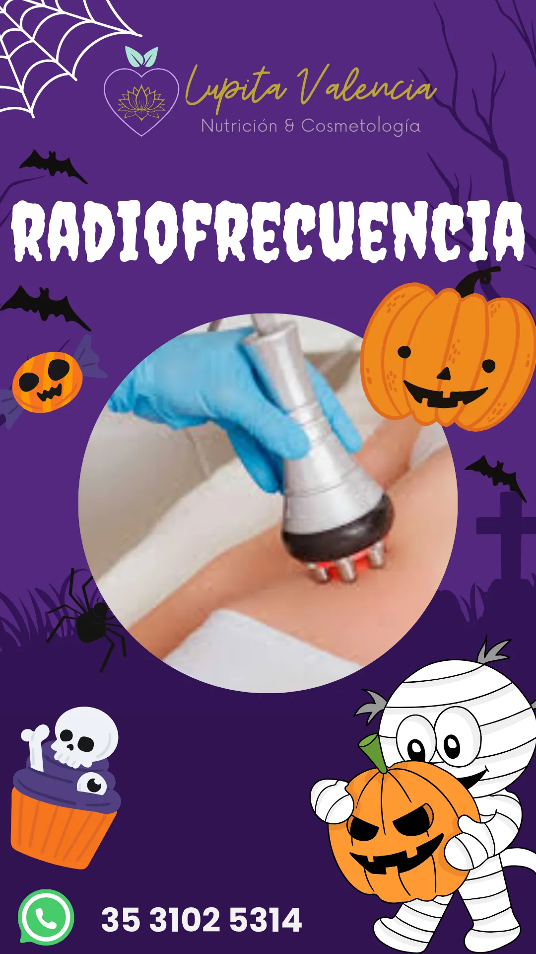 Diseño 65