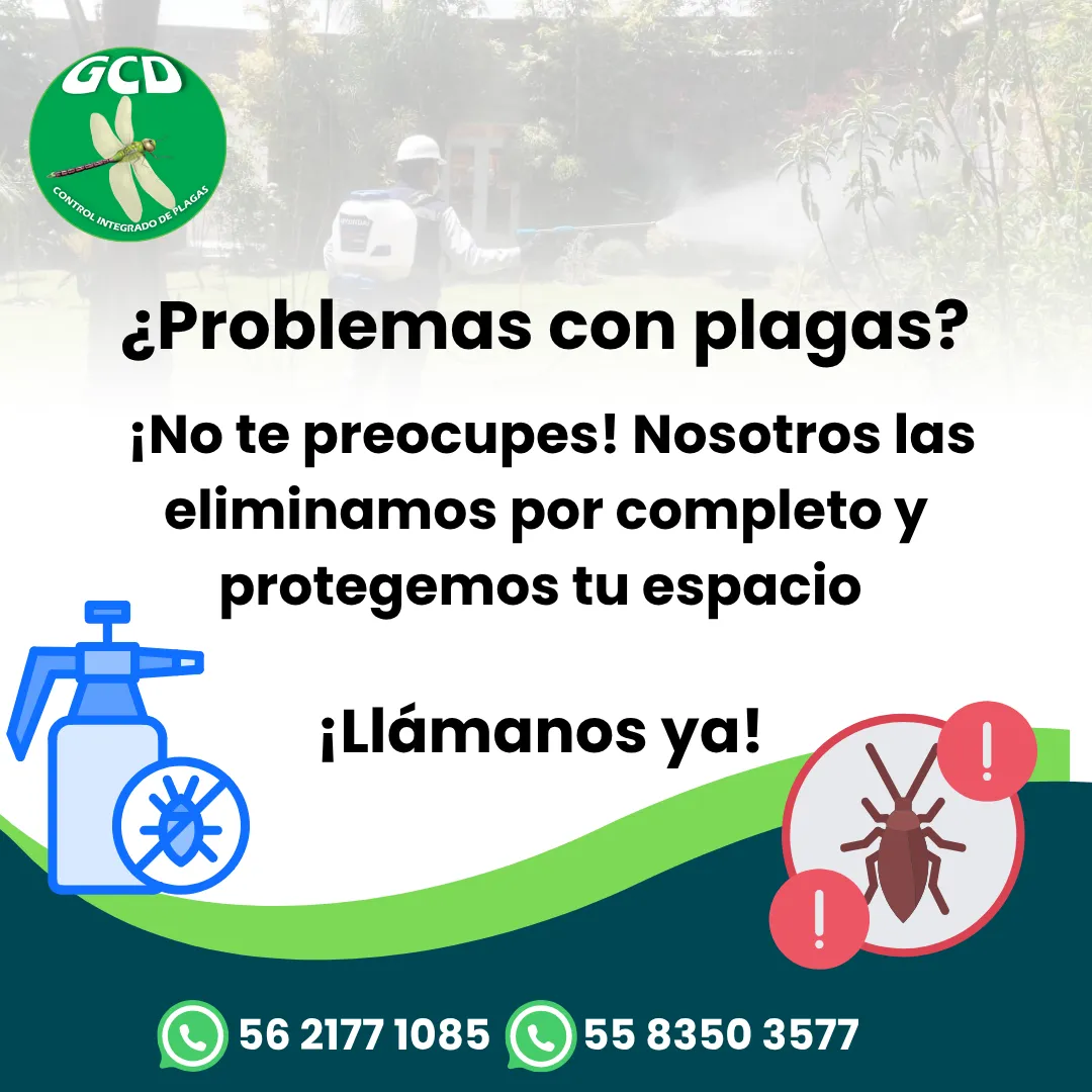 Diseño 94