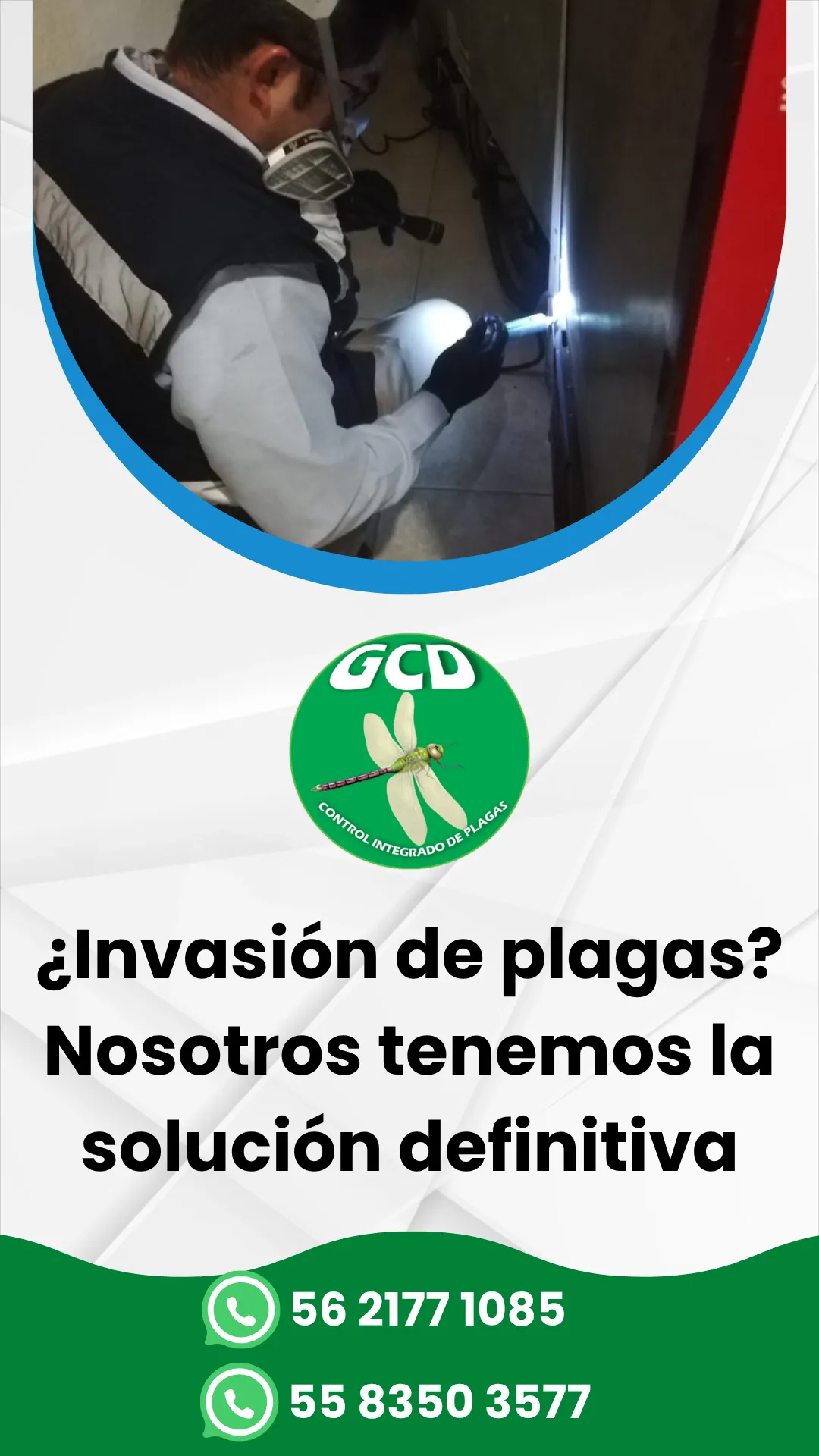 Diseño 98