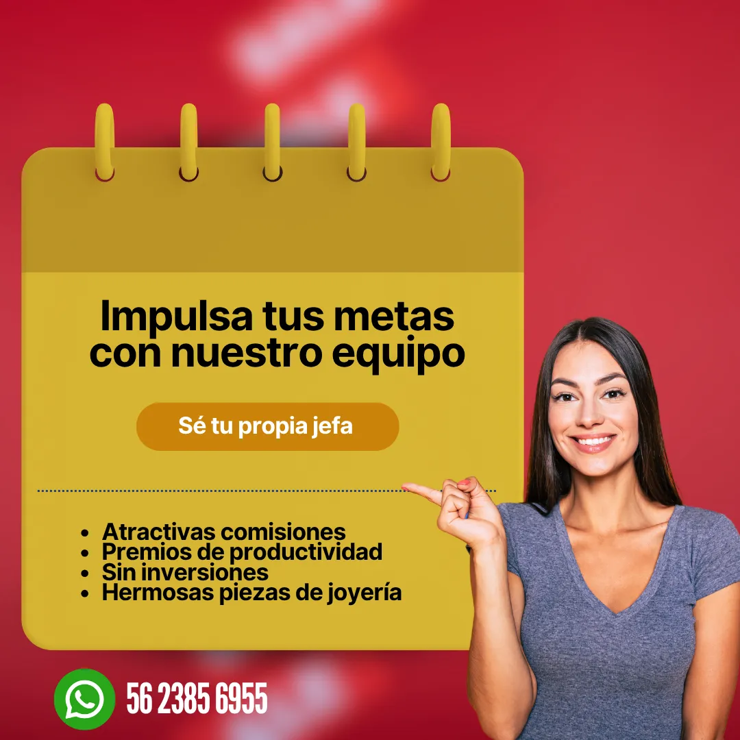 Diseño 16