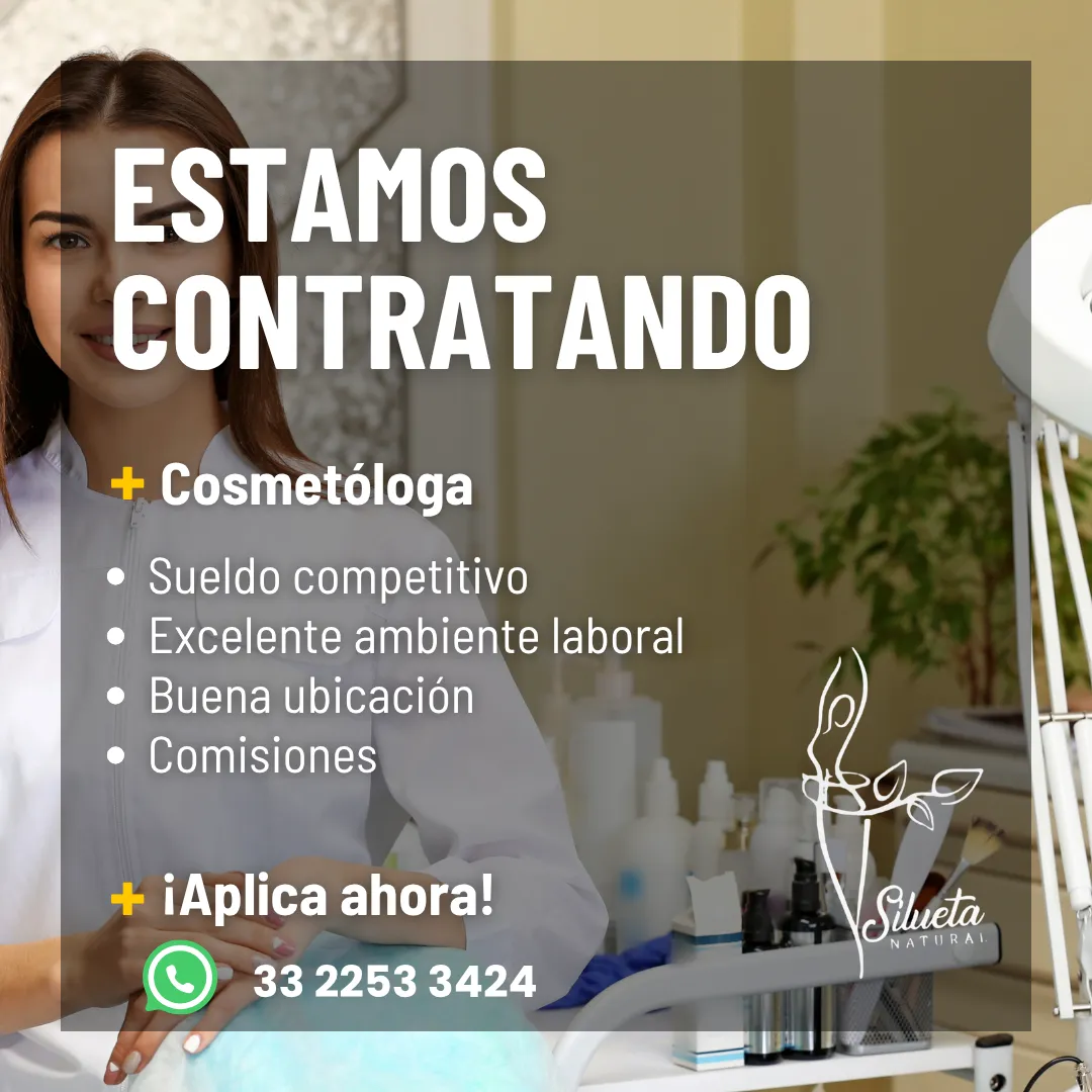 Diseño 2