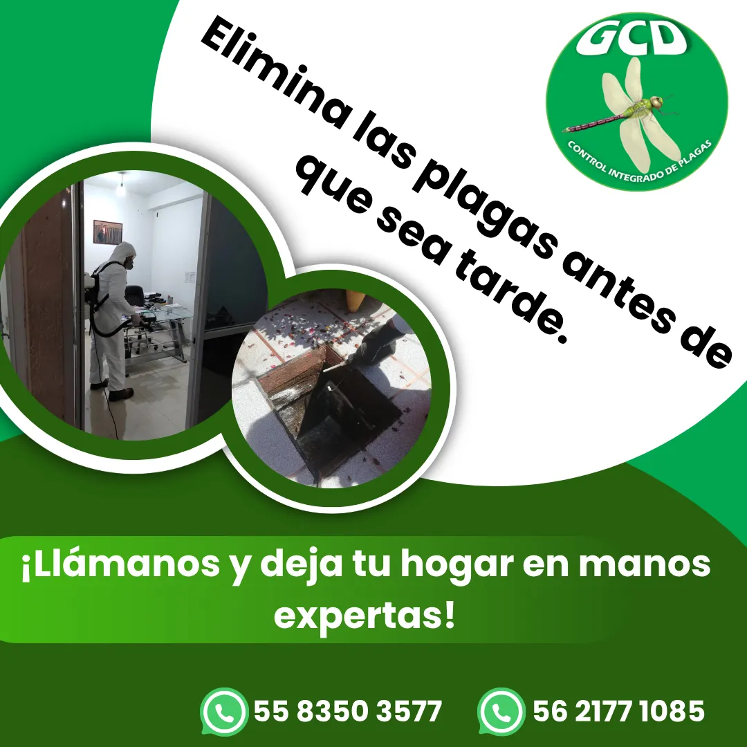 Diseño 34