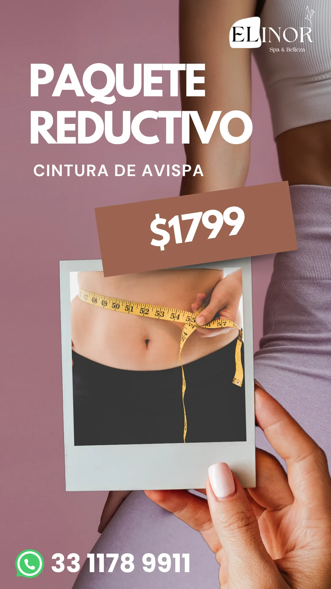 Diseño 42