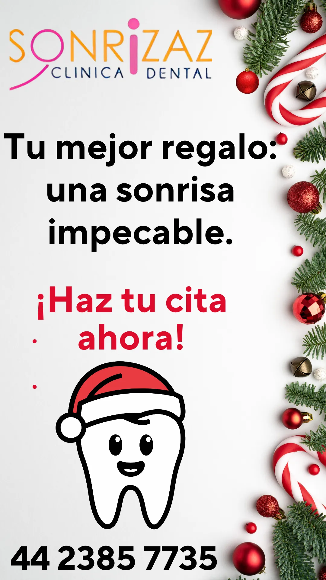 Diseño 46
