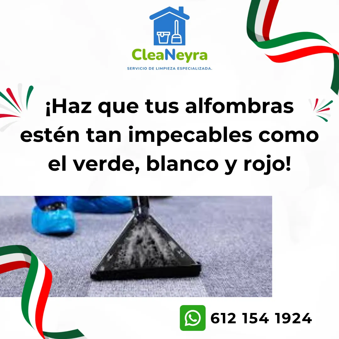 Diseño 29
