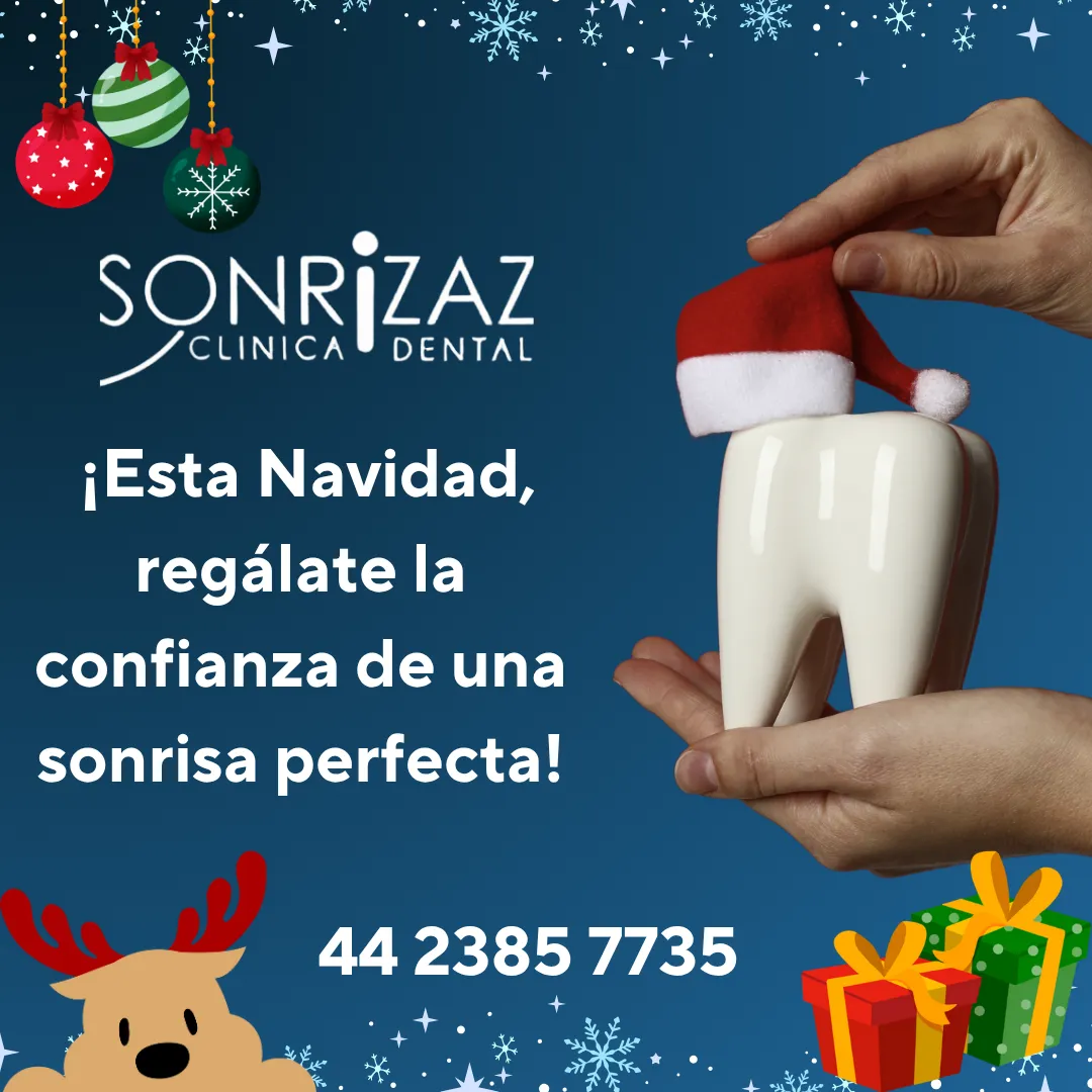 Diseño 81