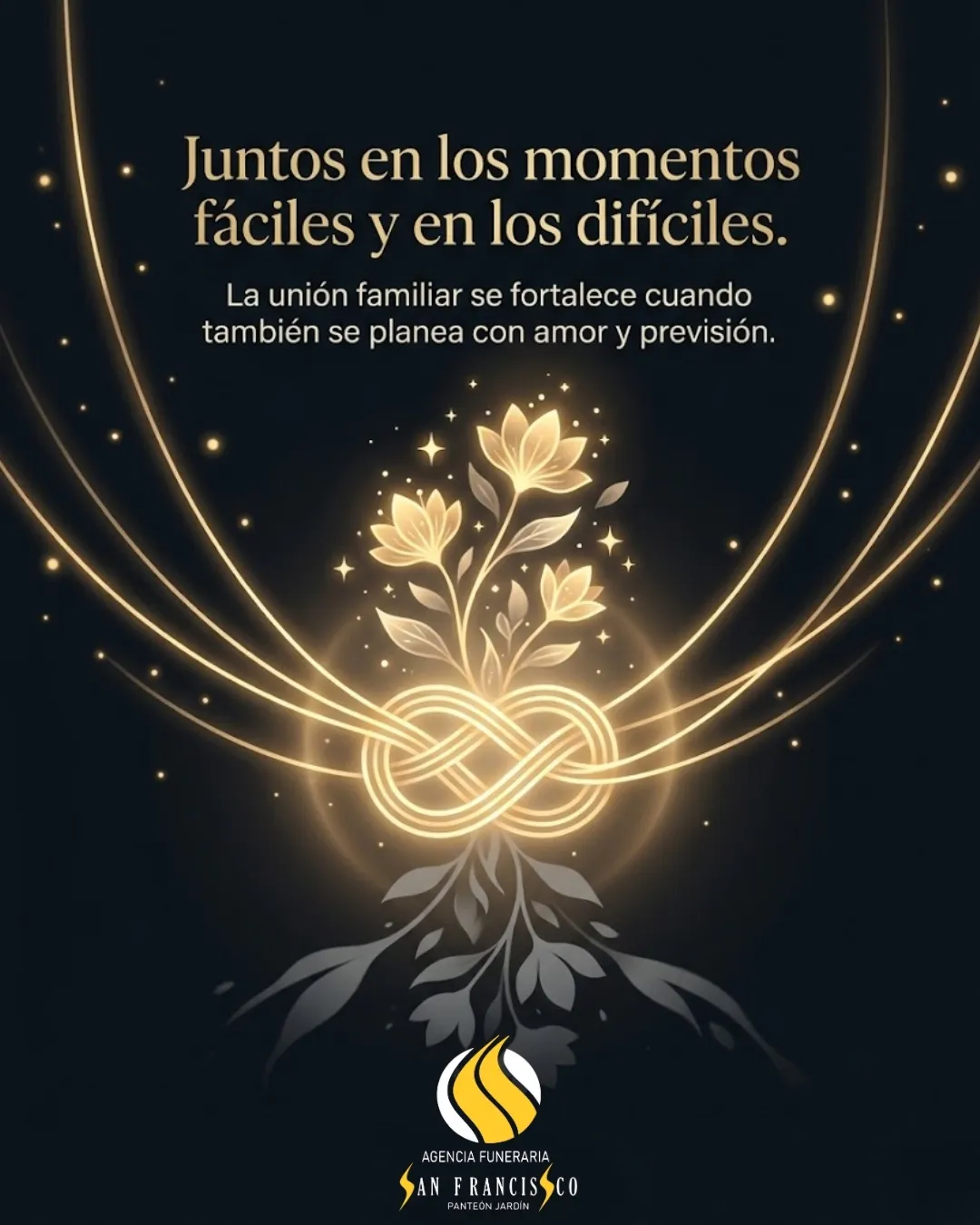 Diseño 81
