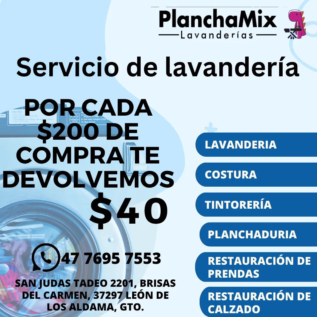 Diseño 29