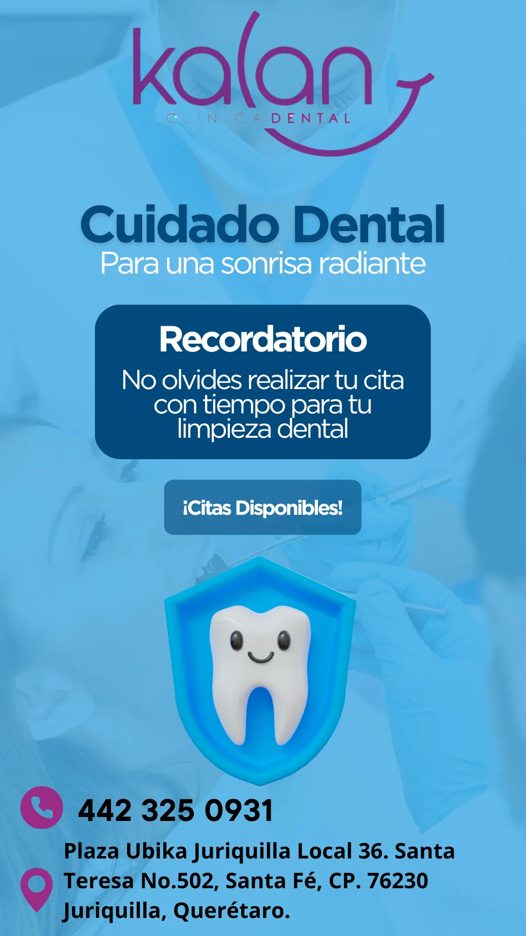 Diseño 95