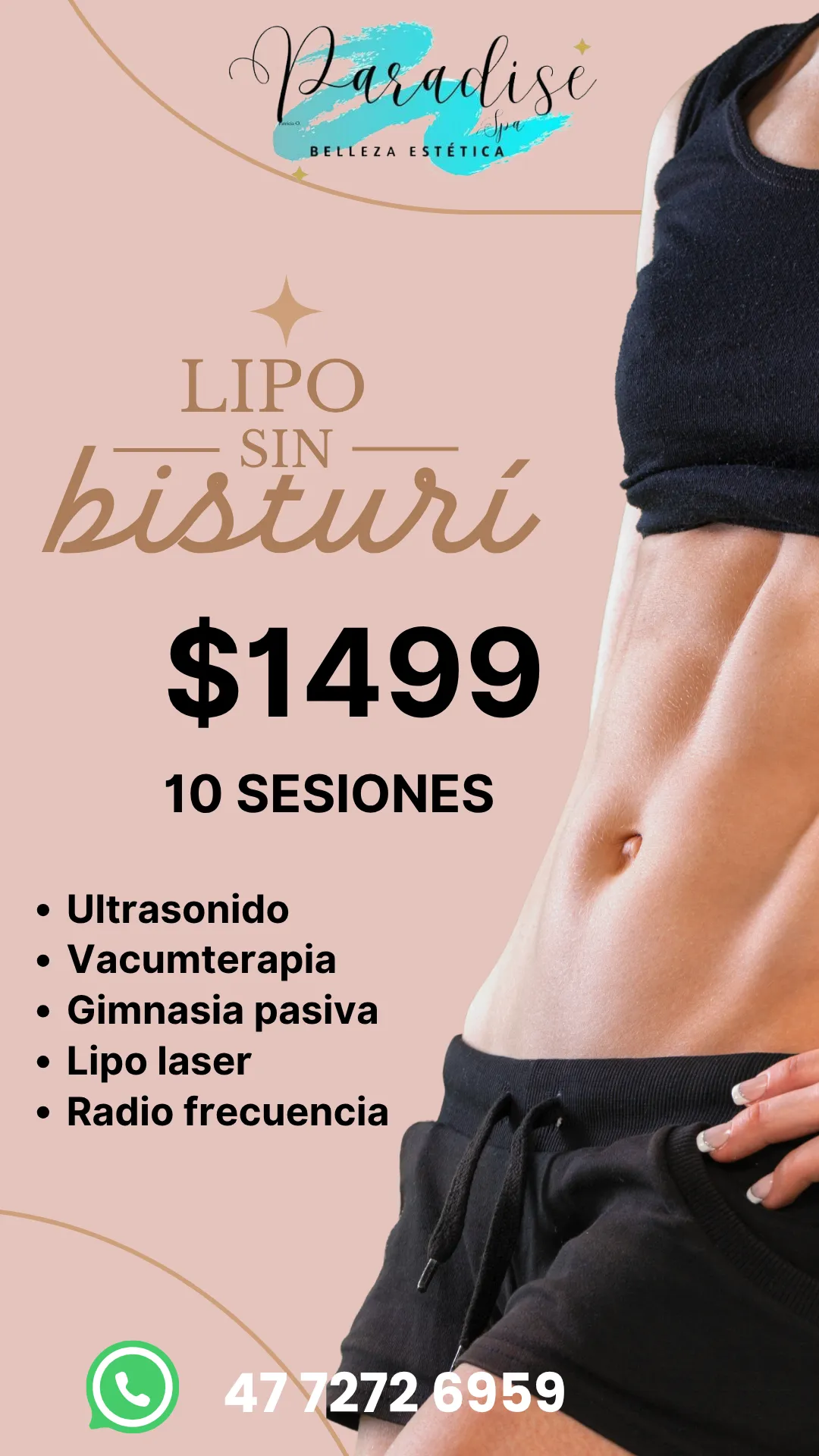 Diseño 61
