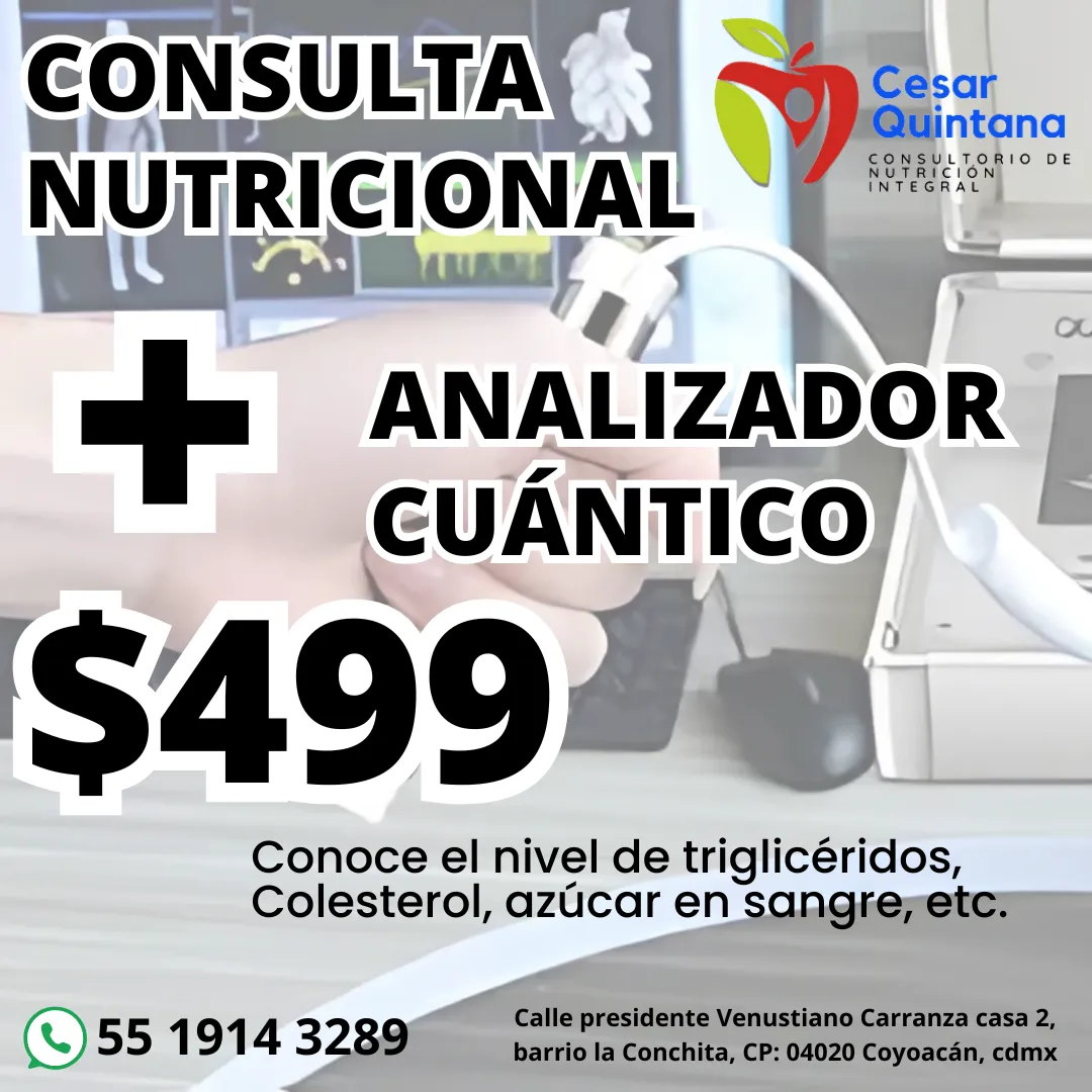 Diseño 61