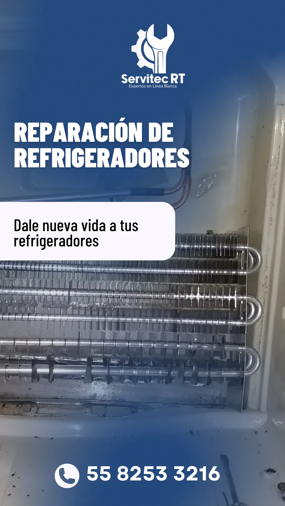 Diseño 10