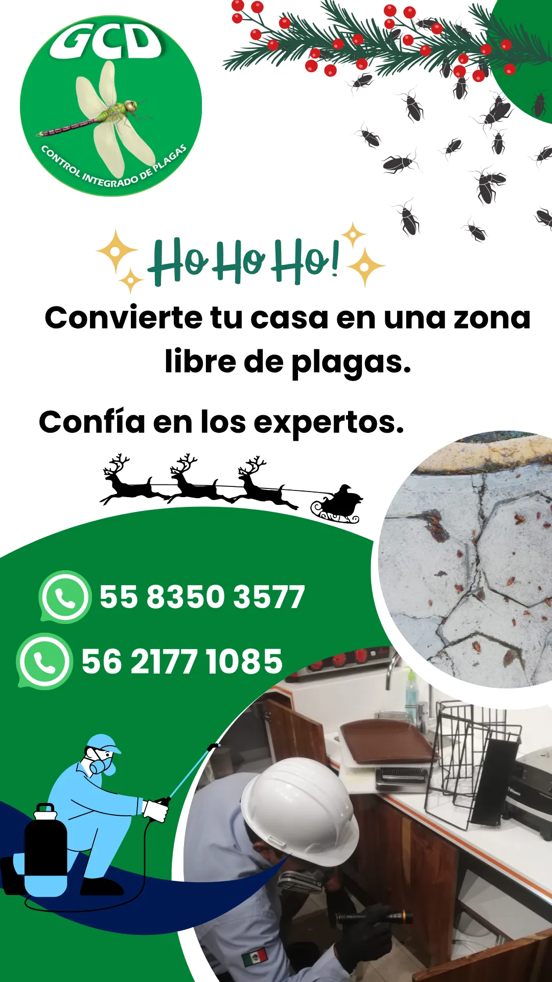 Diseño 11