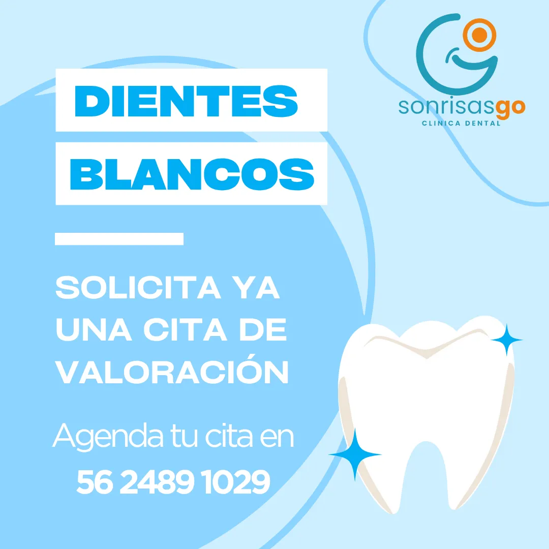 Diseño 16