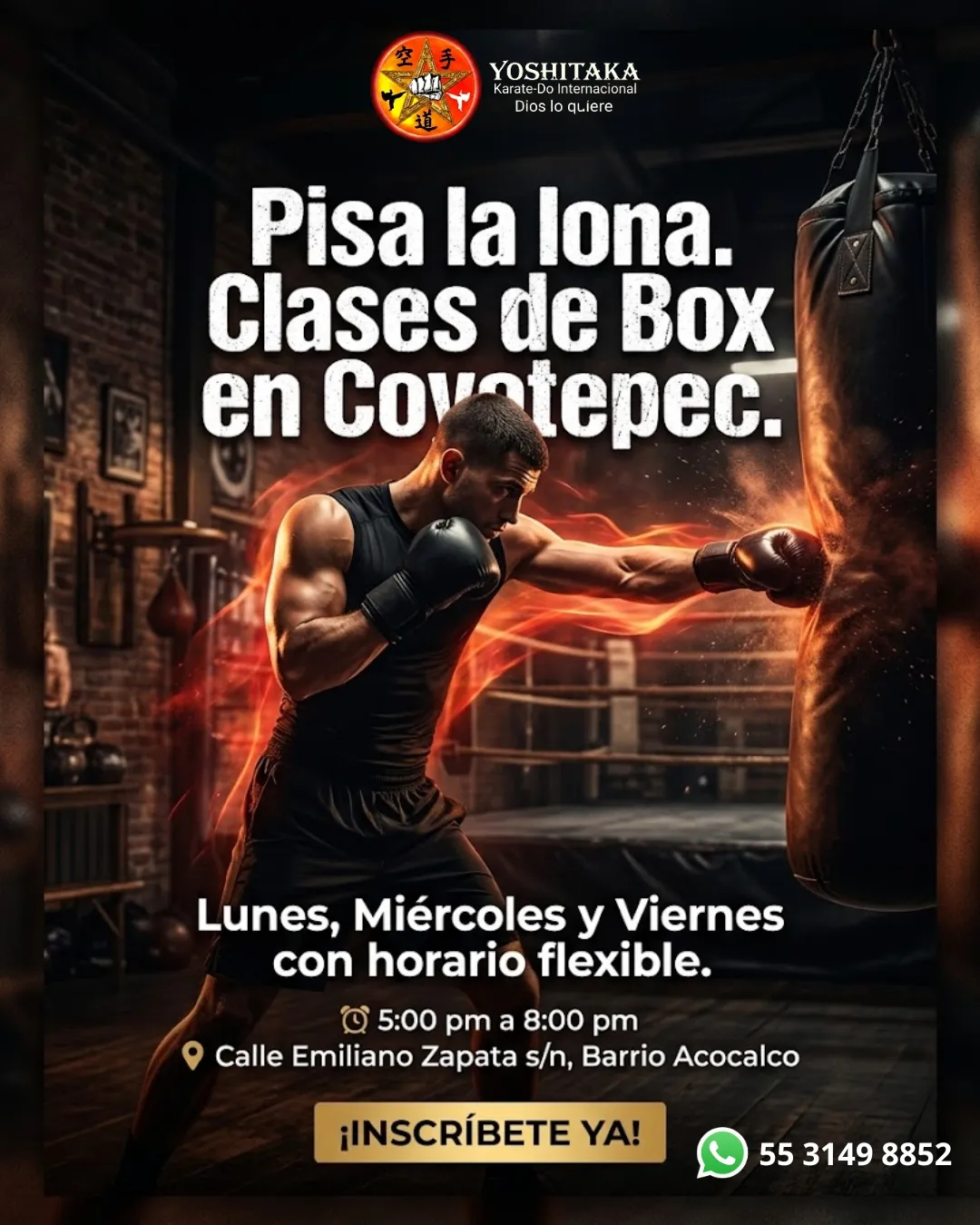 Diseño 19