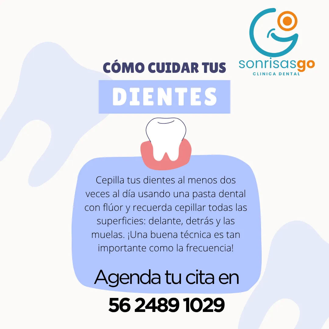 Diseño 20