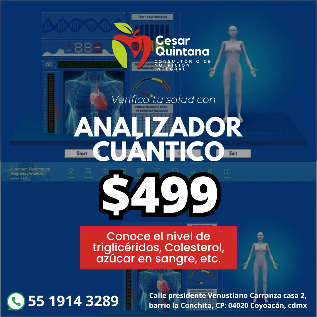 Diseño 46