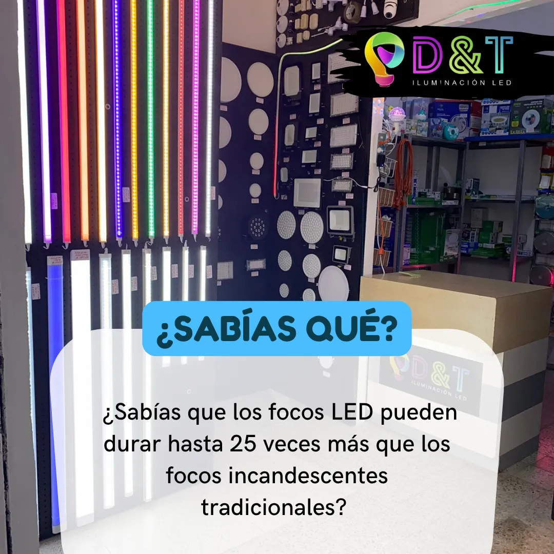 Diseño 11