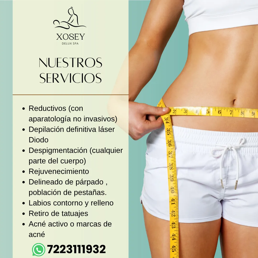 Diseño 16