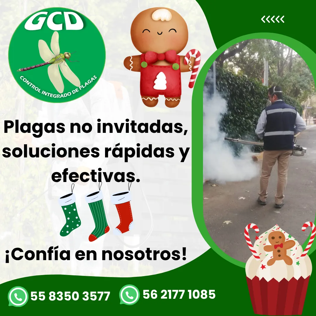 Diseño 14