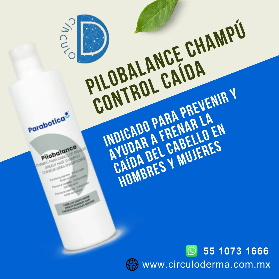 Diseño 41
